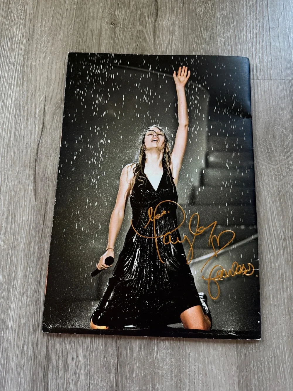 Taylor Swift Fearless Tour 2009 2010 Program Book Photo